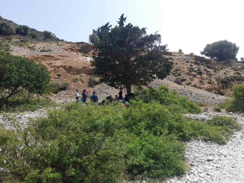 From Georgioupoli: Easy Hiking Day-Trip to Imbros Gorge - Who Is This Tour Best For?