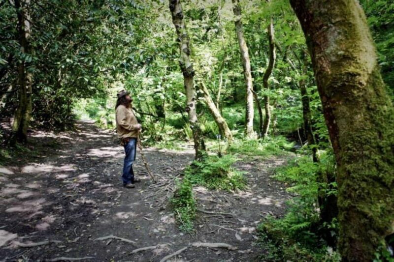 From Glastonbury: 2-Day Tintagel, Boscastle & Dartmoor Tour - Final Thoughts