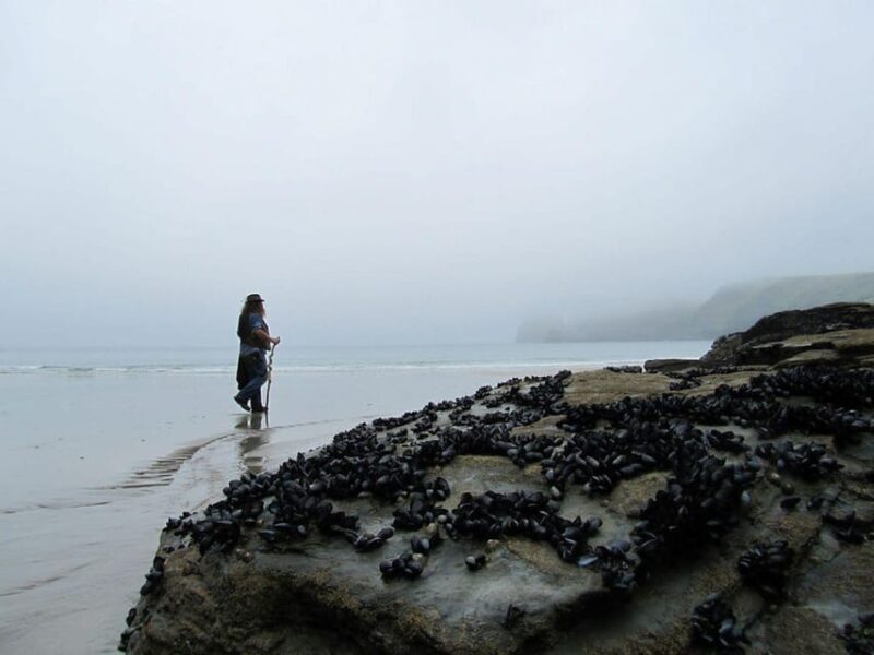 From Glastonbury: 2-Day Tintagel, Boscastle & Dartmoor Tour - FAQ