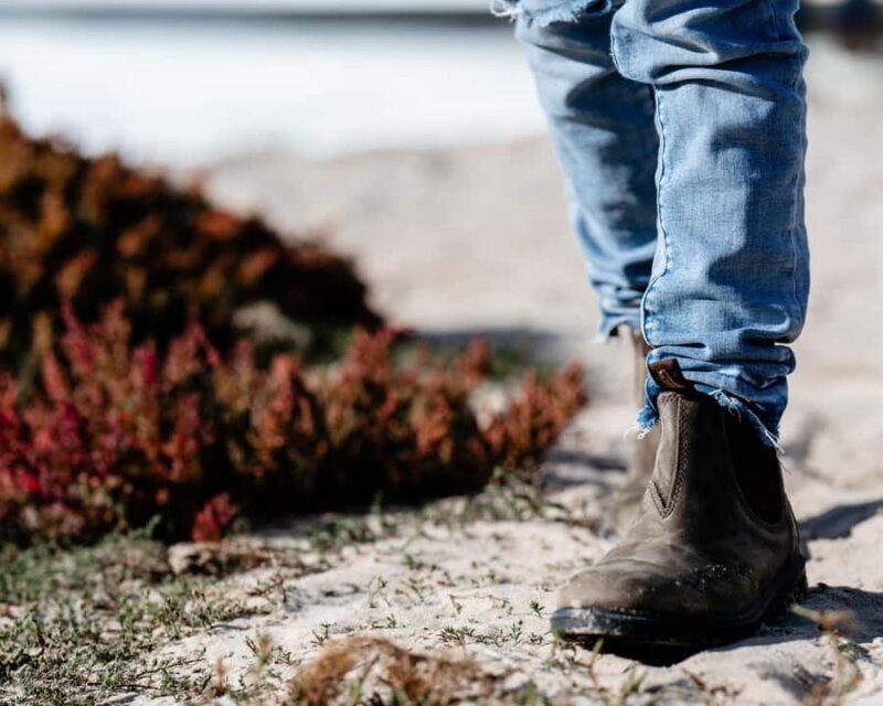 From Goolwa: Full Day Coorong Experience - Who Is This Tour Best For?