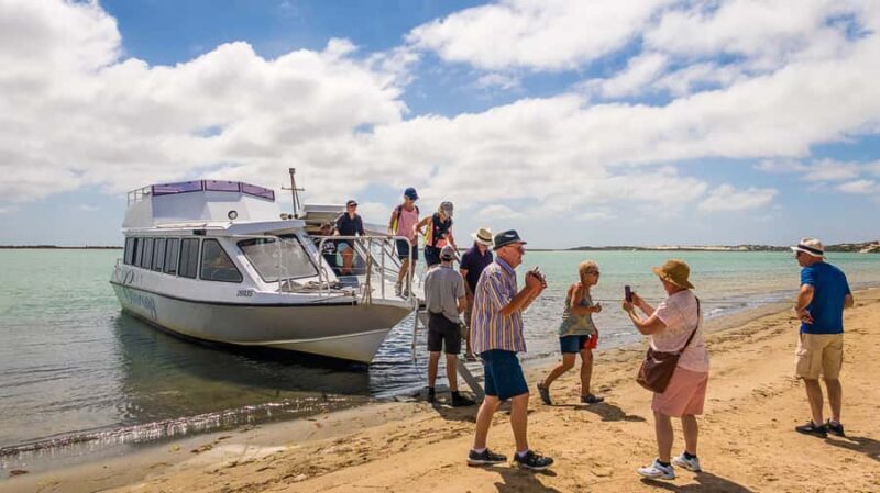 From Goolwa: Half-Day Coorong Experience - An In-Depth Look at the Goolwa: Half-Day Coorong Experience