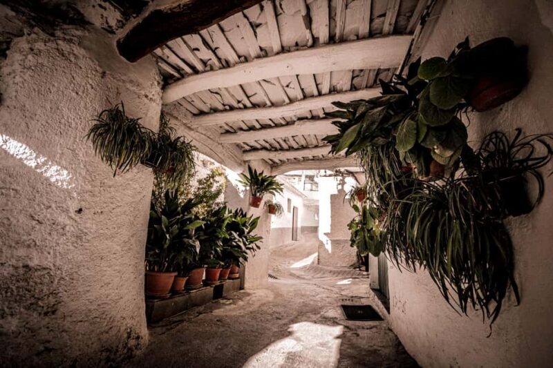 From Granada: Alpujarra Region Full Day Tour - Exploring the Heart of Alpujarra