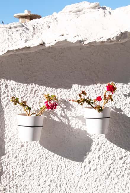 From Granada: Alpujarra Region Full Day Tour - Practical Details