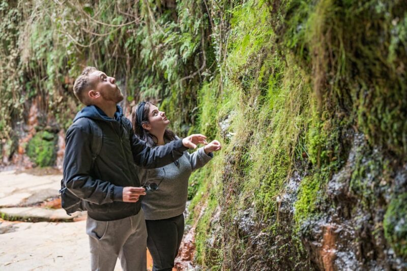 From Granada: Alpujarra Villages Guided Day Tour - A Closer Look at the Tour Experience