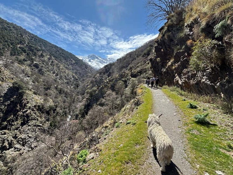 From Granada: High Sierra Nevada hiking experience - The Guide’s Role and the Experience