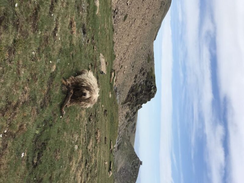 From Granada: High Sierra Nevada hiking experience - Final Thoughts