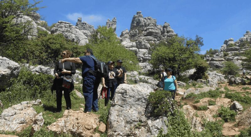 From Granada: Lobo Parque and Torcal de Antequera, Adventure Excursion - An Honest Look at the Tour
