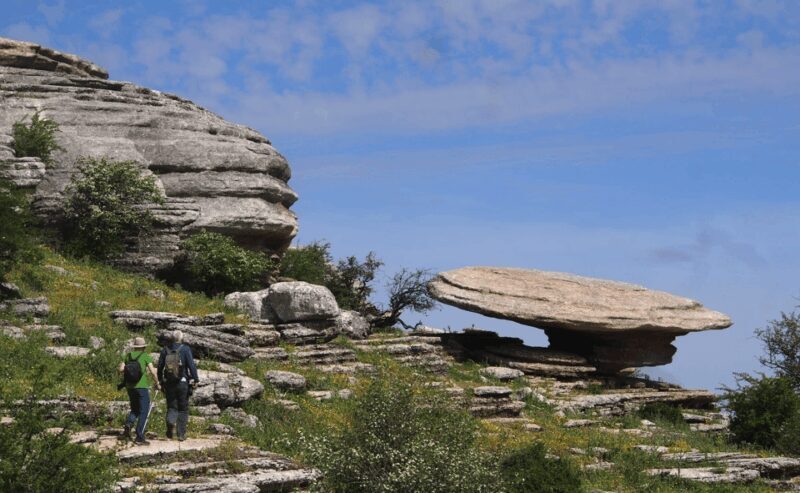 From Granada: Lobo Parque and Torcal de Antequera, Adventure Excursion - In The Sum Up: Who Should Consider This Tour?