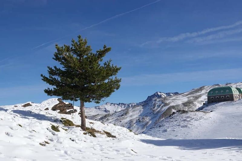 From Granada: Sierra Nevada Safari up to 2500 meters high - Cahorros de Monachil: Canyon Views You Can See Without Big Hiking