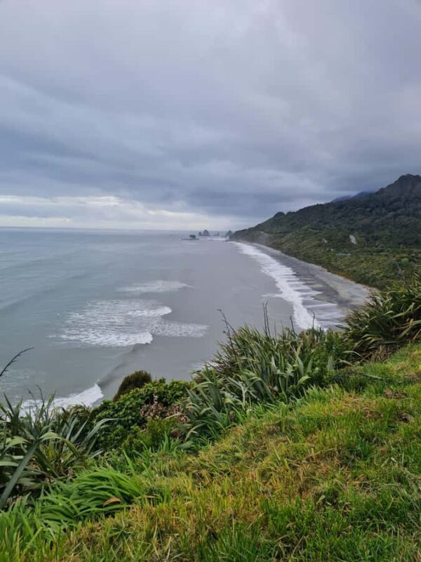 From Greymouth: Highlights West Coast Day Tour - What to Expect from the West Coast Day Tour