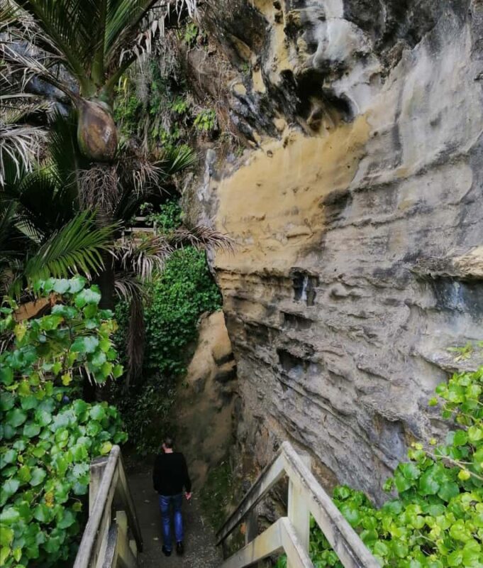 From Greymouth: Highlights West Coast Day Tour - Final Thoughts