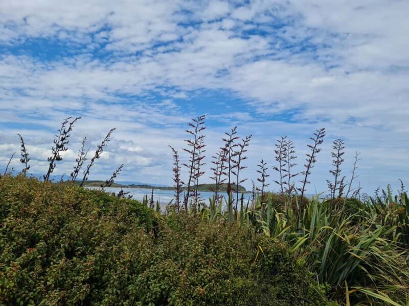 From Greymouth: Highlights West Coast Day Tour - FAQs