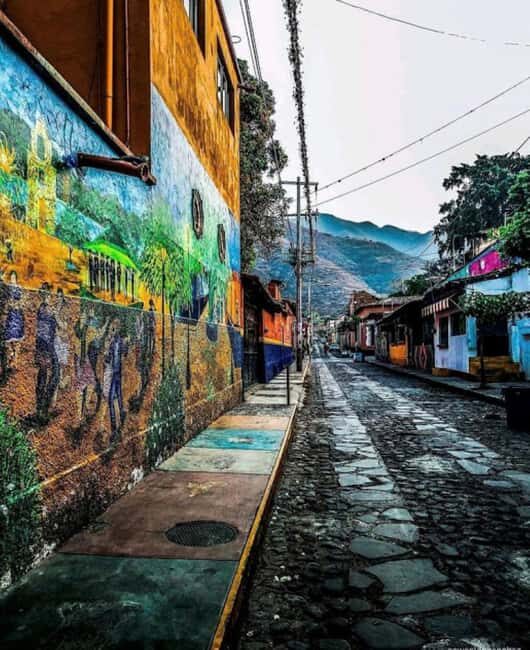 From Guadalajara: Chapala & Ajijic Private Full Day Tour - FAQ