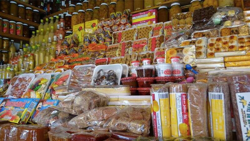 From Guadalajara: Chapala - Ajijic Tour - The Experience & What You Can Expect