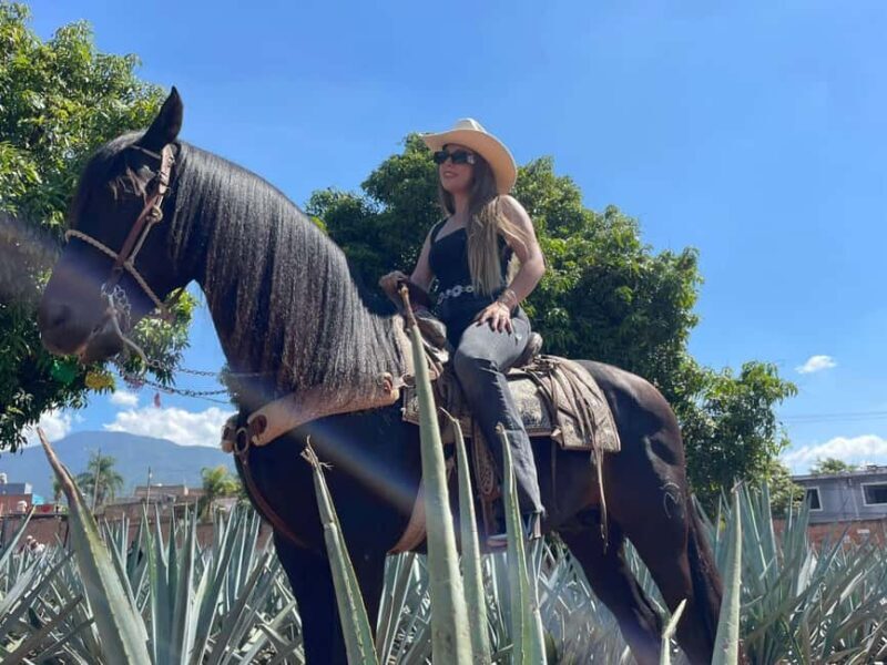 From Guadalajara: Tequila Town and Cantaritos El Guero - What to Expect from the Tour