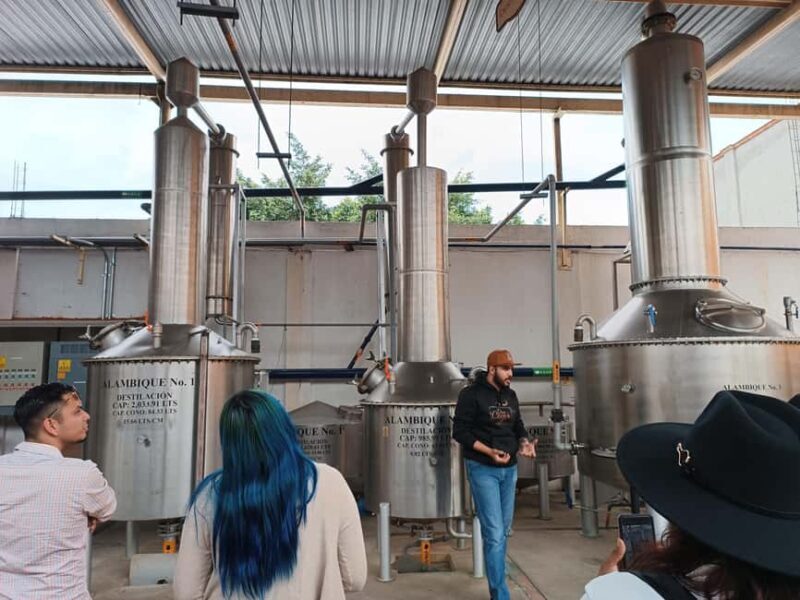 From Guadalajara: Tequila Town and Cantaritos El Guero - Who Should Consider This Tour?