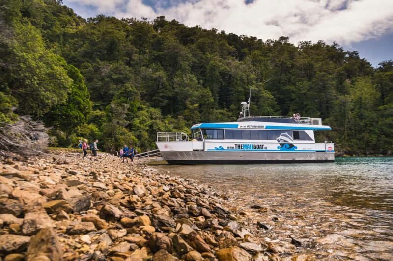 From Havelock: Marlborough Sounds Mail Boat Full-Day Cruise - Key Points