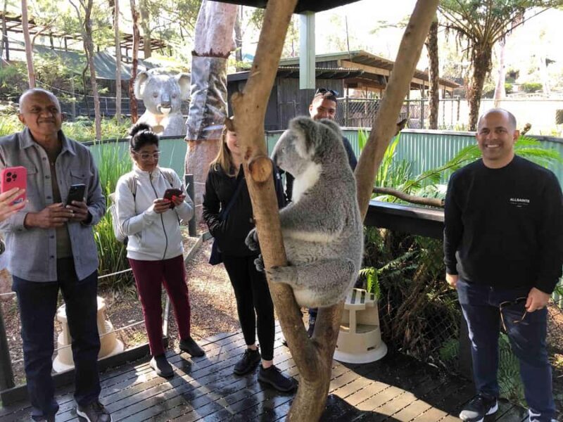 From Haymarket: Hunter Valley Wine and Wildlife Day Trip - Exploring the Hunter Valley: A Guided Day Trip from Haymarket