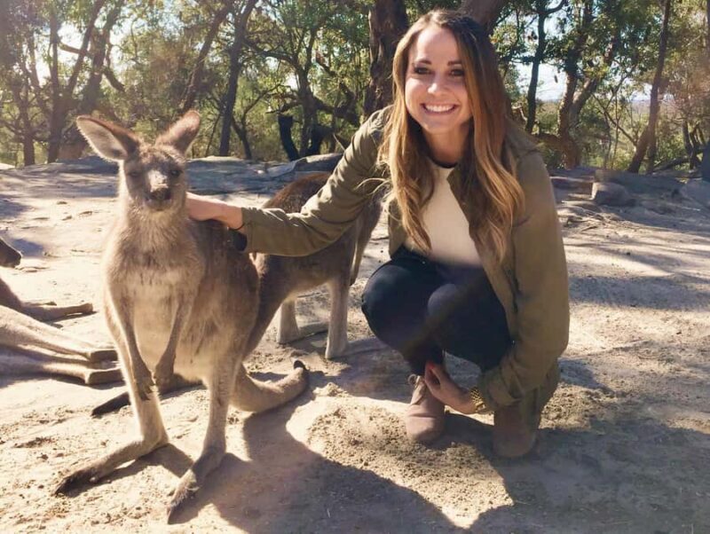 From Haymarket: Hunter Valley Wine and Wildlife Day Trip - Why This Tour Stands Out