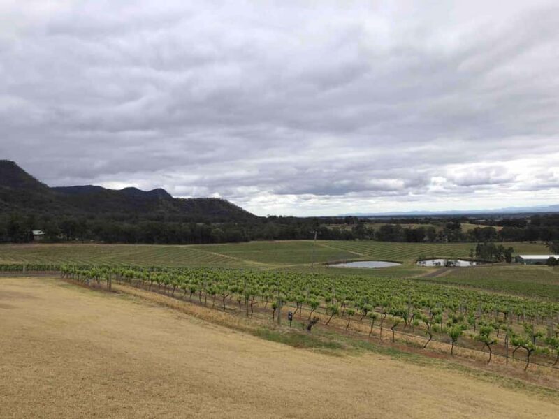 From Haymarket: Hunter Valley Wine and Wildlife Day Trip - The Food and Scenic Views