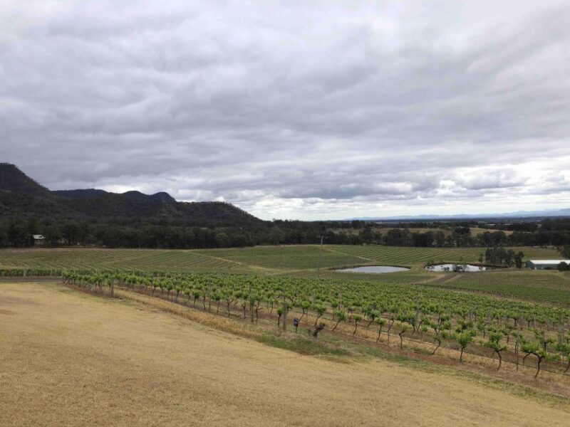 From Haymarket: Hunter Valley Wine and Wildlife Day Trip - The Sum Up
