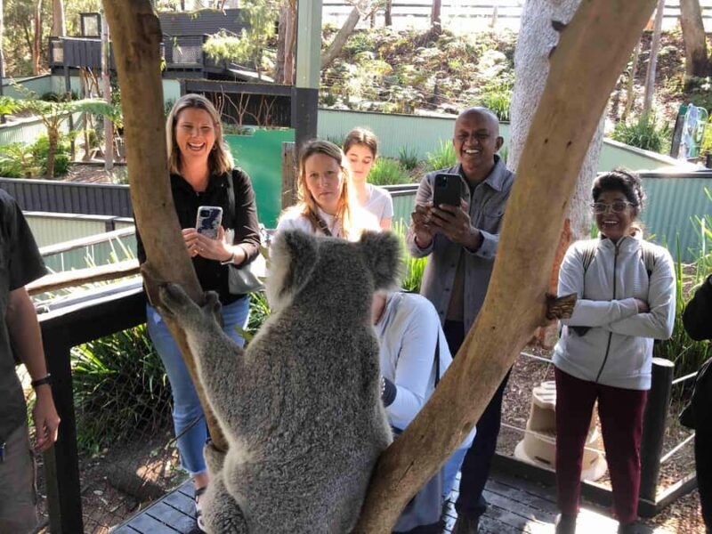 From Haymarket: Hunter Valley Wine and Wildlife Day Trip - FAQ