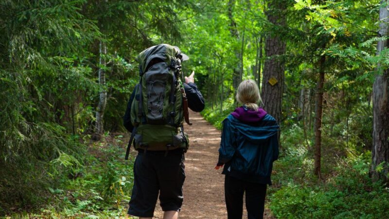 From Helsinki: Berry Picking Day Trip in a National Park - Value for Your Money