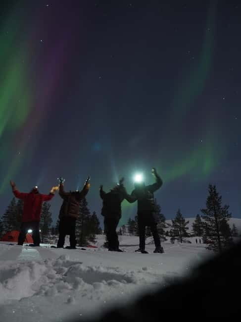 From Helsinki: Guided Forest Walk in the dark with campfire - A Closer Look at the Forest Walk Experience