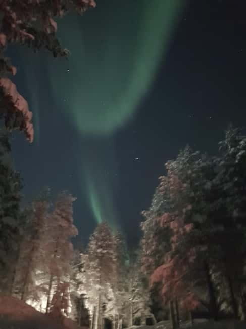 From Helsinki: Guided Forest Walk in the dark with campfire - Final Thoughts: Is This Tour Right for You?