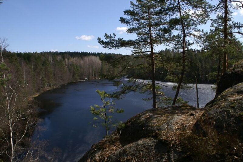 From Helsinki: Nuuksio National Park Half-Day Trip - What Sets This Tour Apart