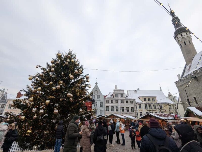 From Helsinki: Tallinn Guided Day-Trip incl. Ferry & Dinner - The Details of the Experience