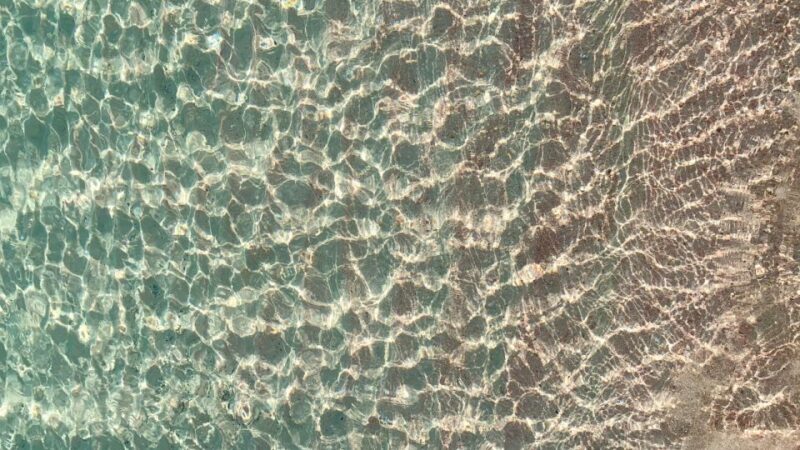 From Heraklion: Guided Trip to Elafonisi Beach with PickUp - Who Will Love This Tour?