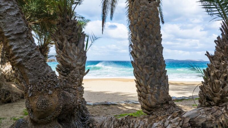 From Heraklion: Palm Forest Beach of Vai, Toplou & Sitia - The Full Breakdown of Your Day in Crete