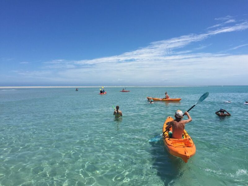 From Hervey Bay: Half-Day K'gari Fraser Island Beach Cruise - The Bottom Line
