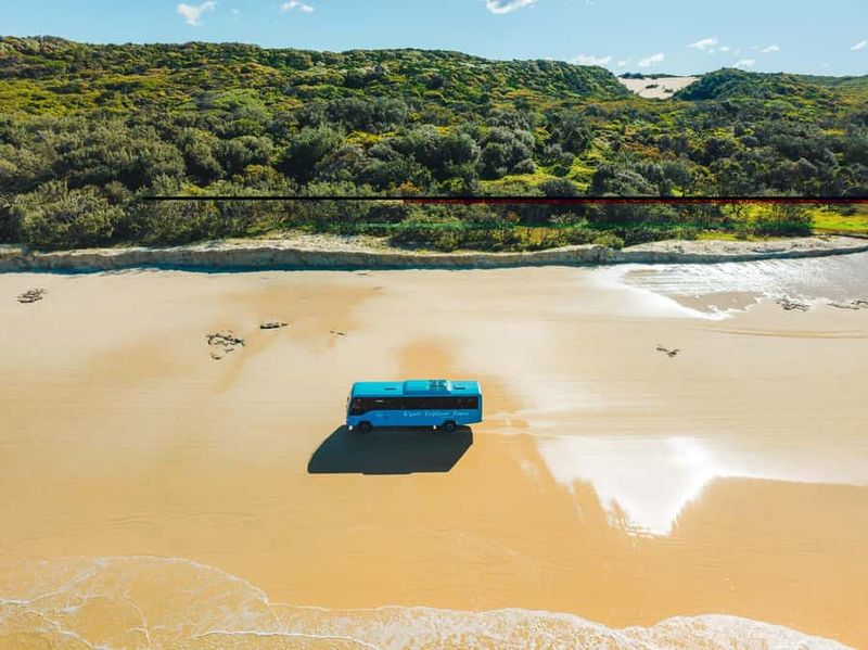 From Hervey Bay: K'gari, Fraser Island Full-Day Coach Tour - Eli Creek: Float Options and How to Make It Comfortable