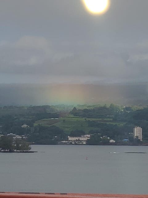 From Hilo: Hawaii Volcanoes National Park Tour - Exploring the Tour in Detail