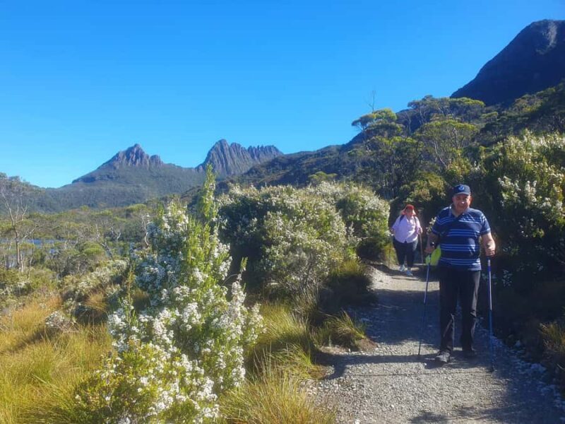 From Hobart: Active Day Trip to Cradle Mountain - Who Will Love This Tour?