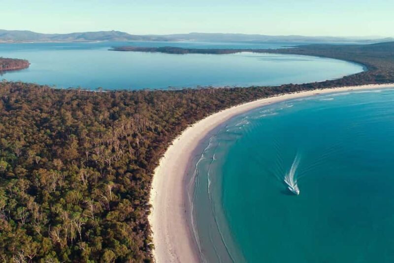 From Hobart: Day Tour to Maria Island with Bus Connection - The Value in Context