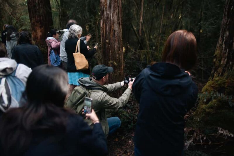 From Hobart: Full-Day Bruny Island Tour with Guide - Key Points