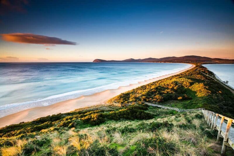 From Hobart: Full-Day Bruny Island Tour with Guide - Who Is This Tour Best For?