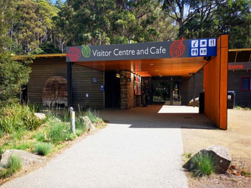 From Hobart: Mt. Field National Park and Russell Falls - A Closer Look at the Experience