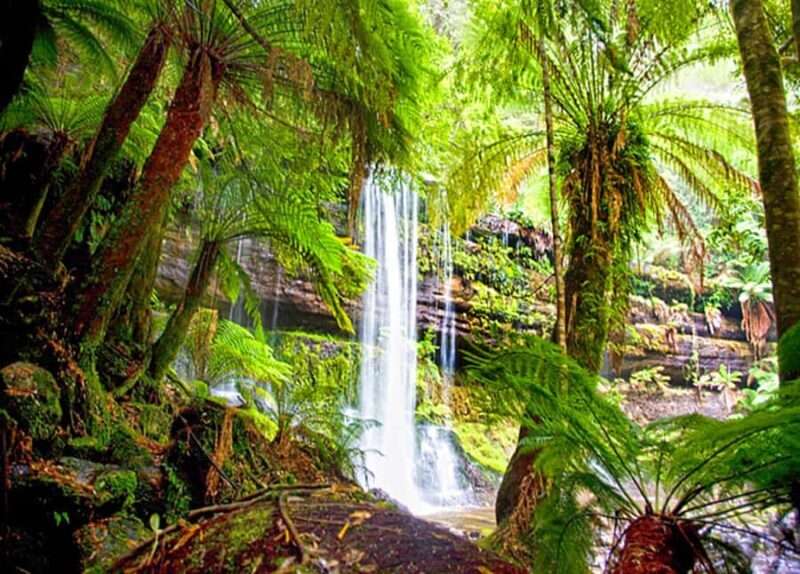 From Hobart: Mt. Field National Park and Russell Falls - Practical Details and Considerations