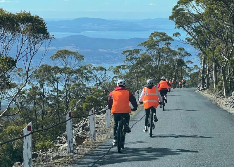 From Hobart: Mt Wellington Summit & Rainforest Bike Tour - What the Tour Involves