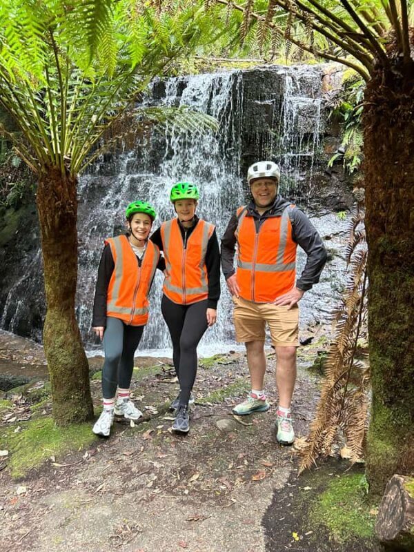 From Hobart: Mt Wellington Summit & Rainforest Bike Tour - Practical Details