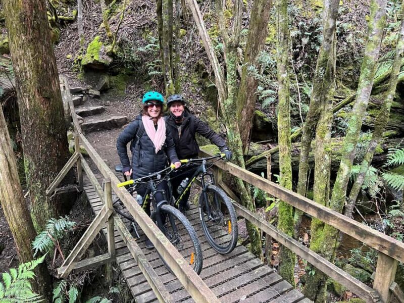 From Hobart: Mt Wellington Summit & Rainforest Bike Tour - FAQ