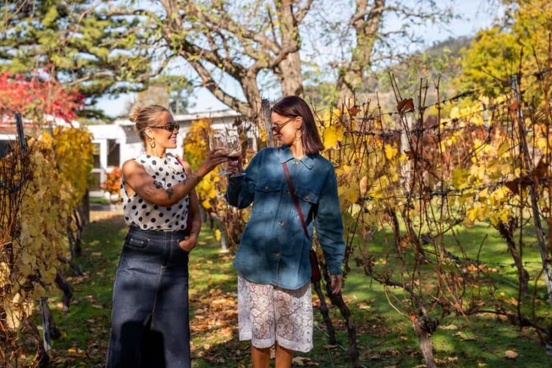 From Hobart: Tasmanian Wine Tour - A Full Breakdown of the Experience