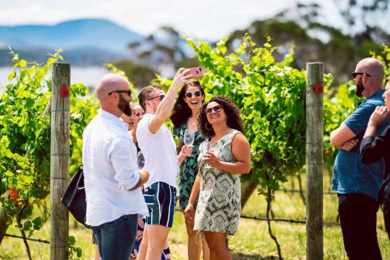 From Hobart: Tasmanian Wine Tour - Who Is This Tour Best For?