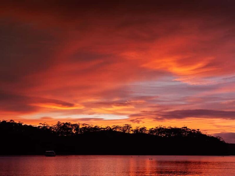 From Hobart: Three Capes Walking Tour - 4 Days - Who Would Love This Tour?