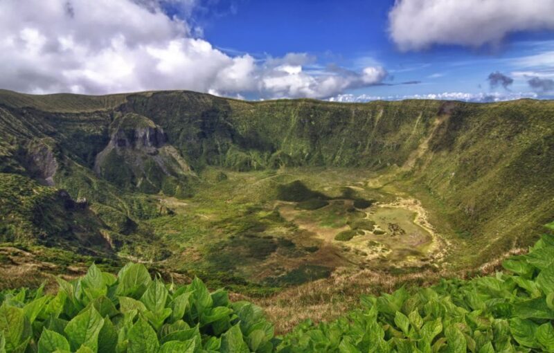 From Horta: Guided Faial Island Tour - Who Should Consider This Tour?