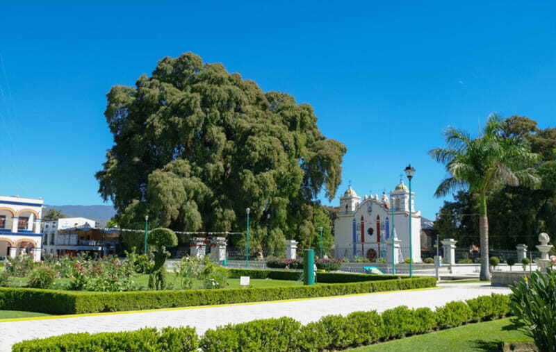 From Huatulco: 2 Days Excursion to Oaxaca City - Key Points